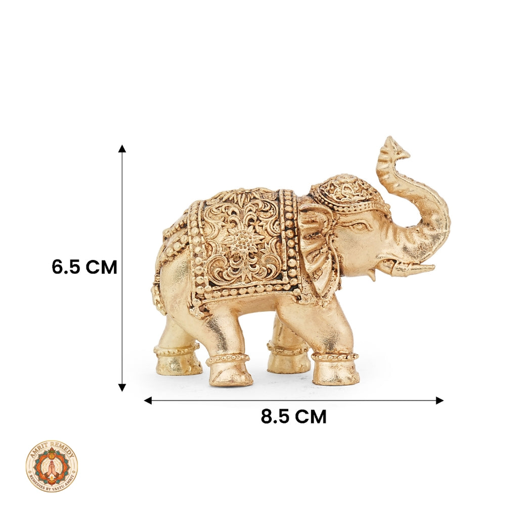 Brass Trunk-Up Royal Elephant Showpiece for Home Decor & Mandir (6.5 cm)