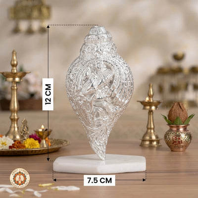 Silver Plated Brass Dakshinavarti Vishnu Shankha for Wealth & Protection (12 cm)