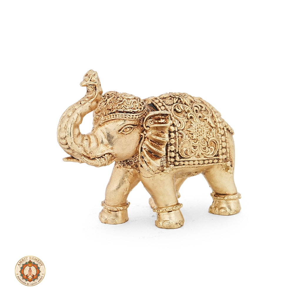 Brass Trunk-Up Royal Elephant Showpiece for Home Decor & Mandir (6.5 cm)