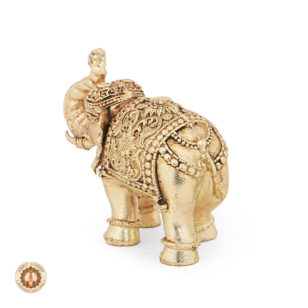 Brass Trunk-Up Royal Elephant Showpiece for Home Decor & Mandir (6.5 cm)