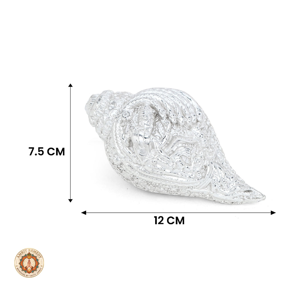 Silver Plated Brass Dakshinavarti Vishnu Shankha for Wealth & Protection (12 cm)